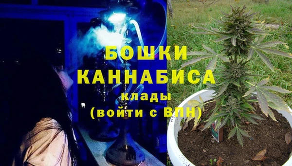 прущие крисы Каменногорск