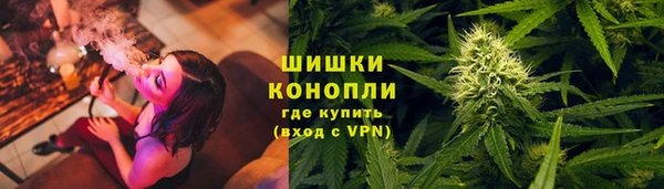 прущие крисы Каменногорск