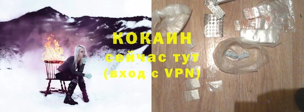 бошки Каменка