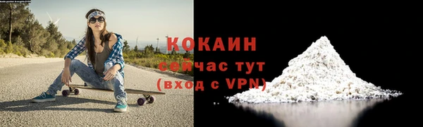 тгк Каменск-Шахтинский