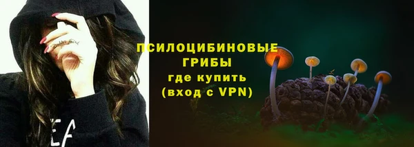 тгк Каменск-Шахтинский