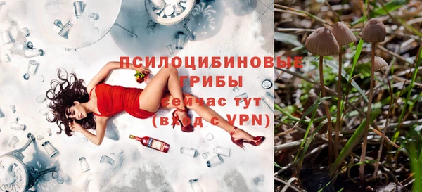 прущие крисы Каменногорск